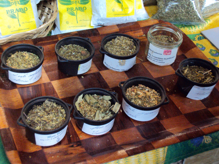 Différentes sortes de thé