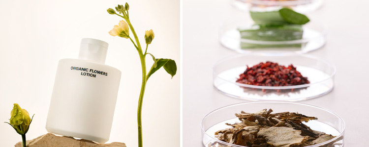 les actifs bio fermenté dans les produits de cosmétiques biologiques